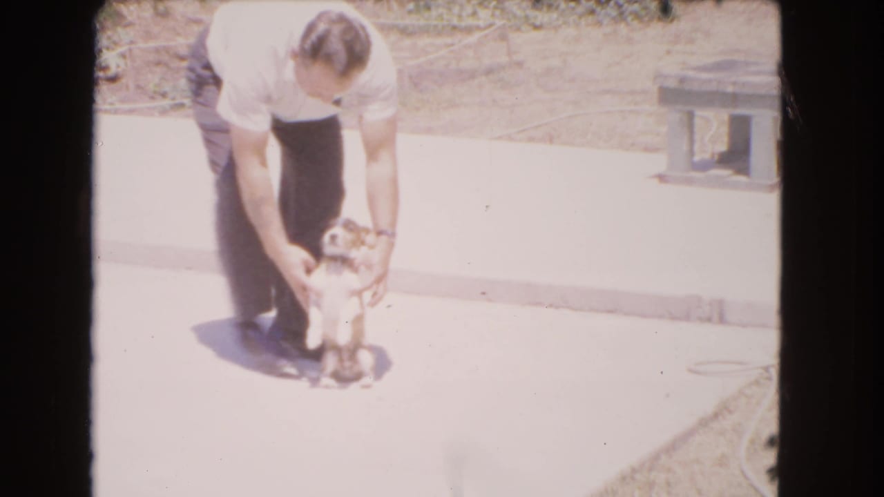 Man bends over a small dog on bright pavement as the dog sits upright.