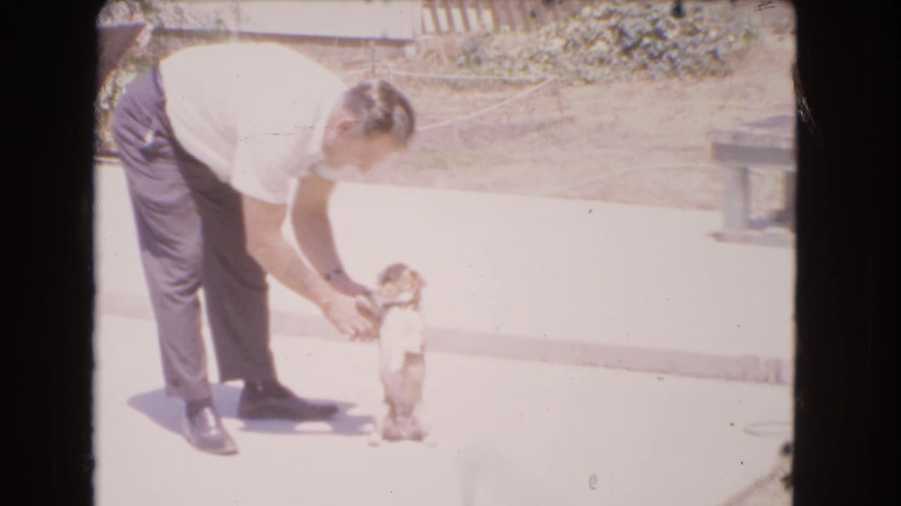 Man reaches toward a small dog standing upright on its hind legs.