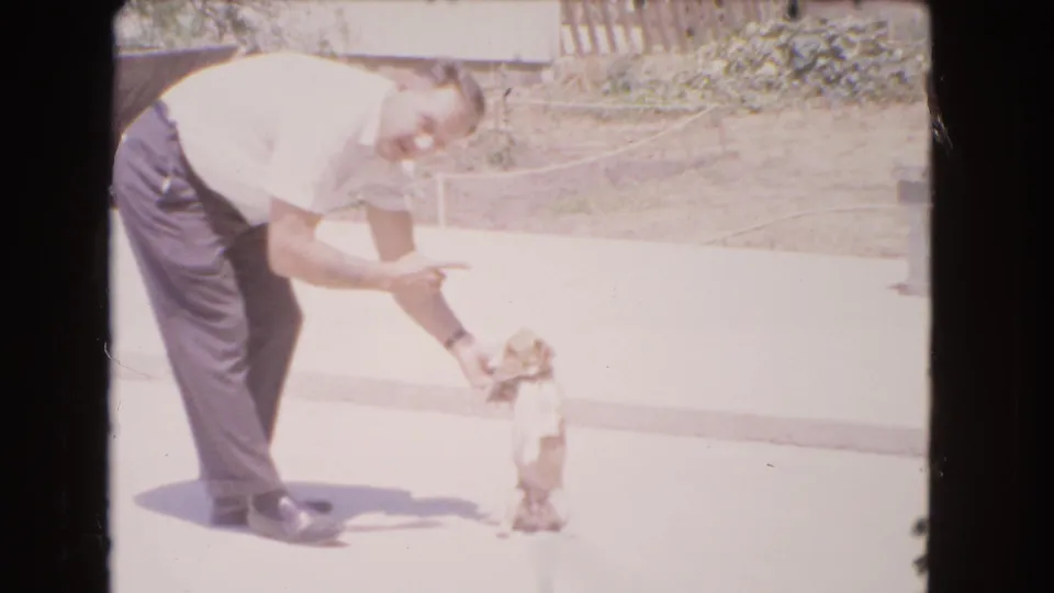 A man points near a small dog sitting upright on a bright paved area, with dry landscaping behind them in 1966 Barstow footage.