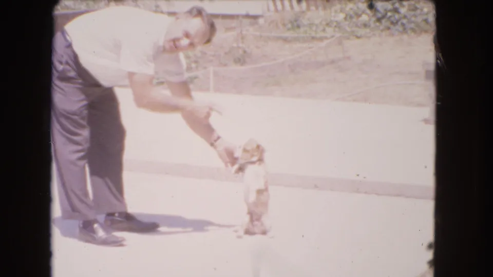 The man continues guiding a small dog sitting on its hind end outdoors in Barstow, California, in a faded 1966 8mm frame.