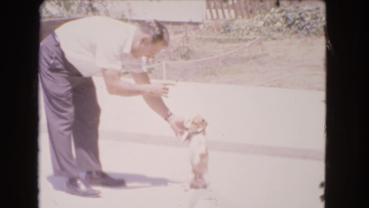 In supported 1966 Barstow home-movie footage, a man in a white shirt bends down as a small puppy balances upright on a sunny concrete area.