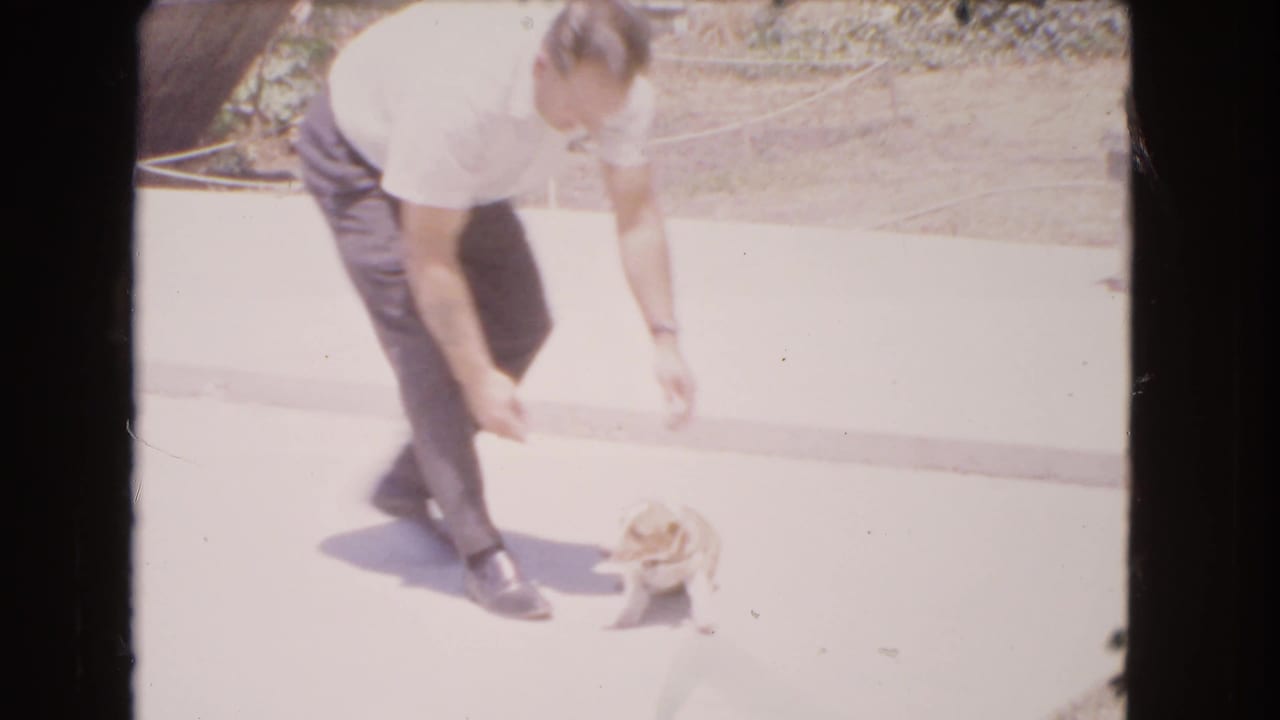 Man crouches with hands lowered near a small puppy on the concrete.