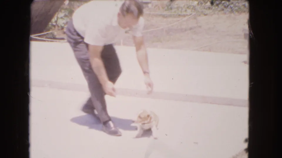The man lowers his hands toward the puppy on a sunlit concrete surface, with dry landscaping and a low edge behind them.