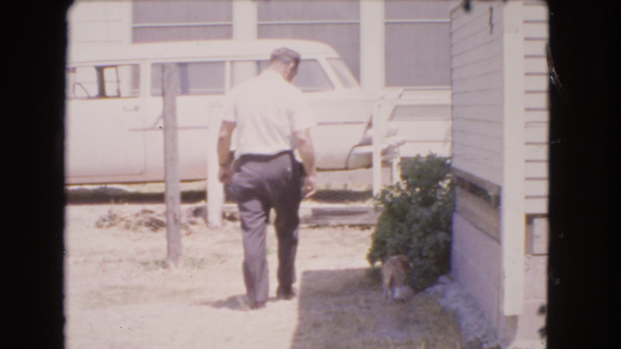 1966 Barstow yard scene with an adult man walking away, a small dog near bushes, and a white station wagon parked behind a fence line.