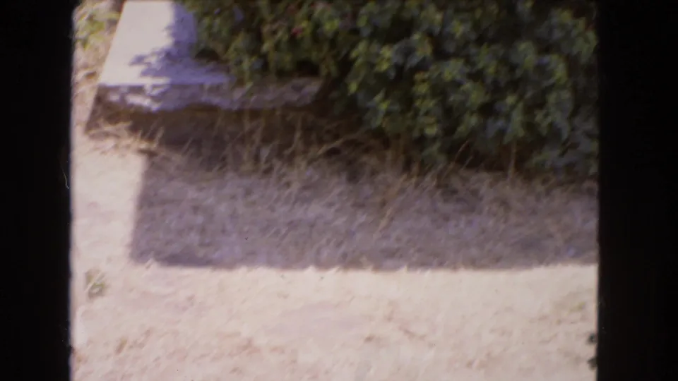 1966 Barstow home-movie frame showing the yard surface, low shrubs, a concrete step, and strong sun with the people mostly out of frame.