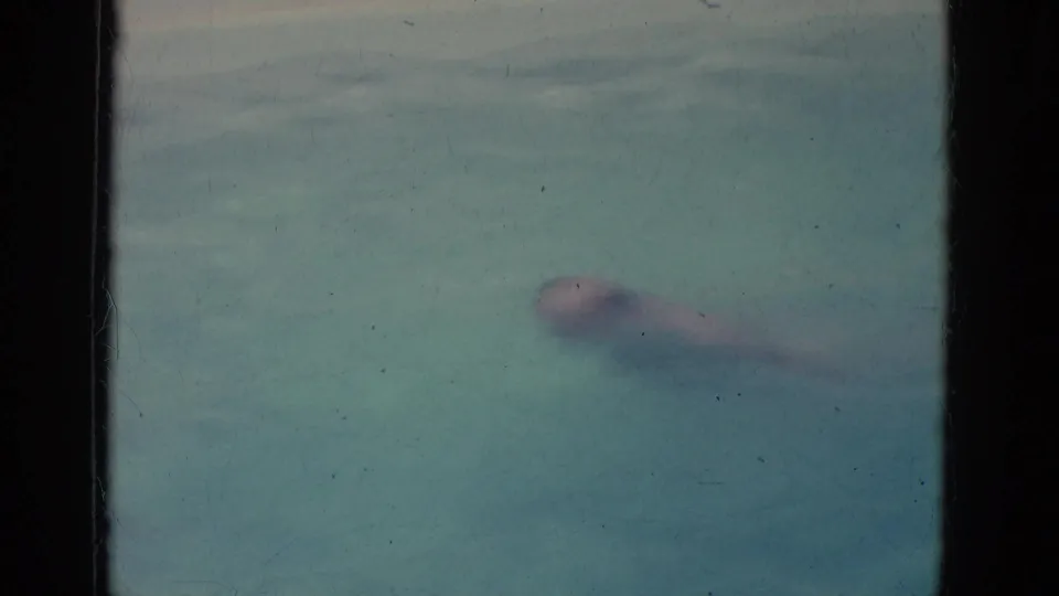 Soft 8mm frame showing an adult swimmer beneath the surface of clear blue-green pool water after a dive.