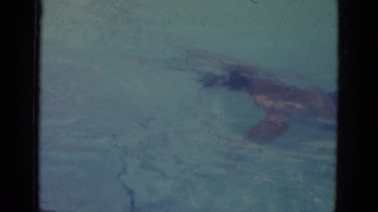 Swimmer moving underwater in a blue-green swimming pool.