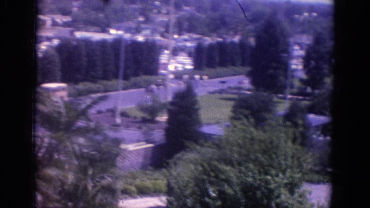 1966 Busche Gardens, Florida view from above showing palm trees, manicured lawns, a curving road, and distant low buildings.