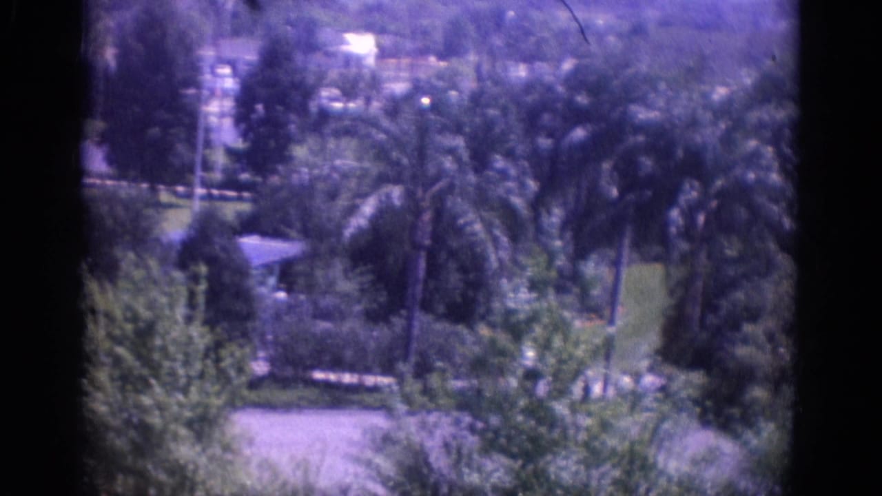 Elevated garden view with palms, lawn areas, paths, and low structures.
