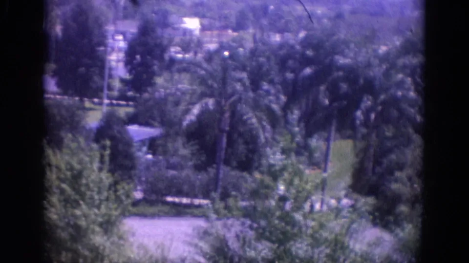 1966 Busche Gardens, Florida footage showing palms, green lawns, paths, and low buildings from a high visitor viewpoint.