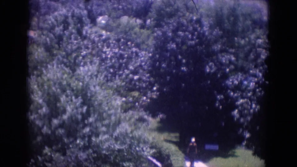 1966 Busche Gardens, Florida view of dense landscaping, a lawn path, and a small visitor figure near the lower right edge.