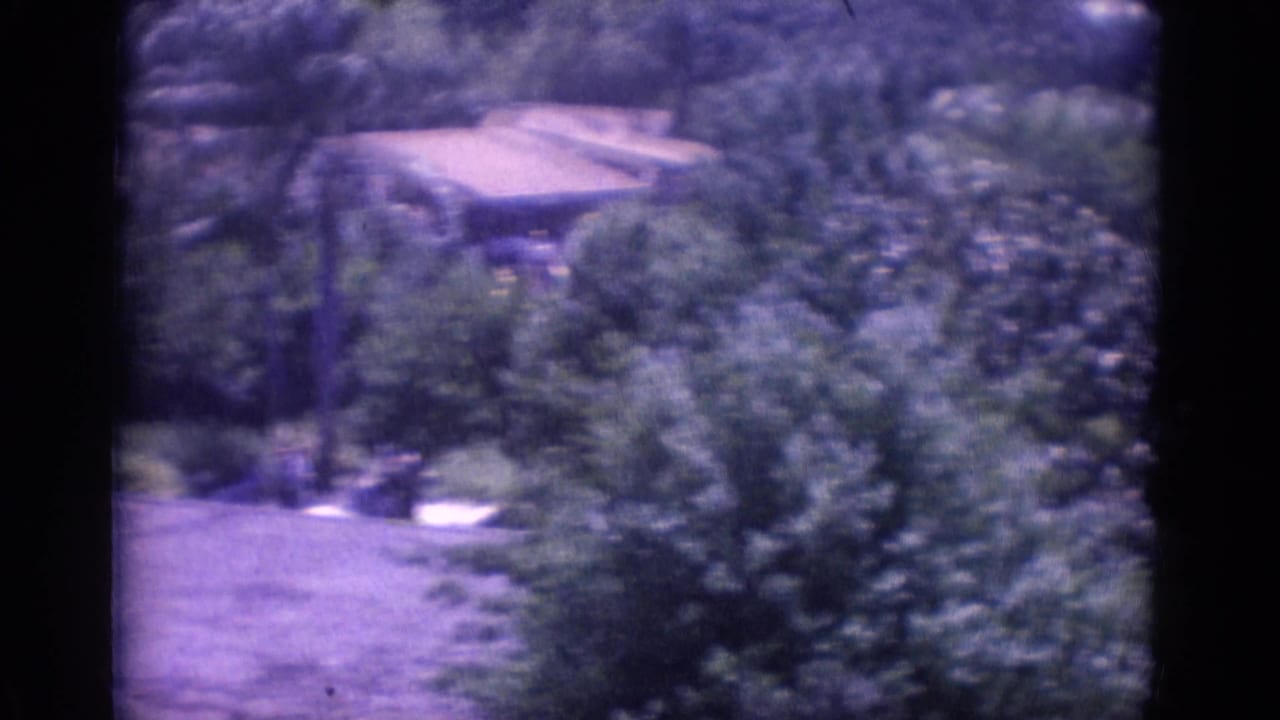 Garden hillside with trees, shrubs, a path, and a low building in the distance.