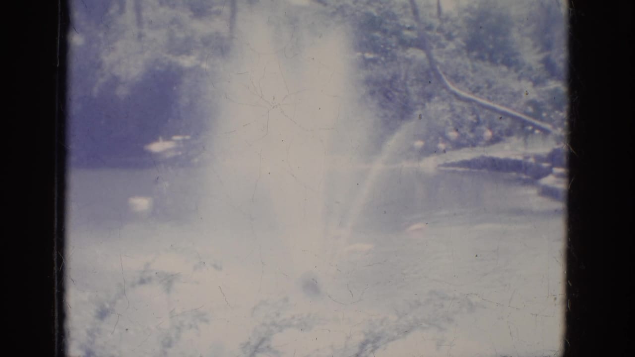 Water spray rises from a pond beside trees and shoreline landscaping.