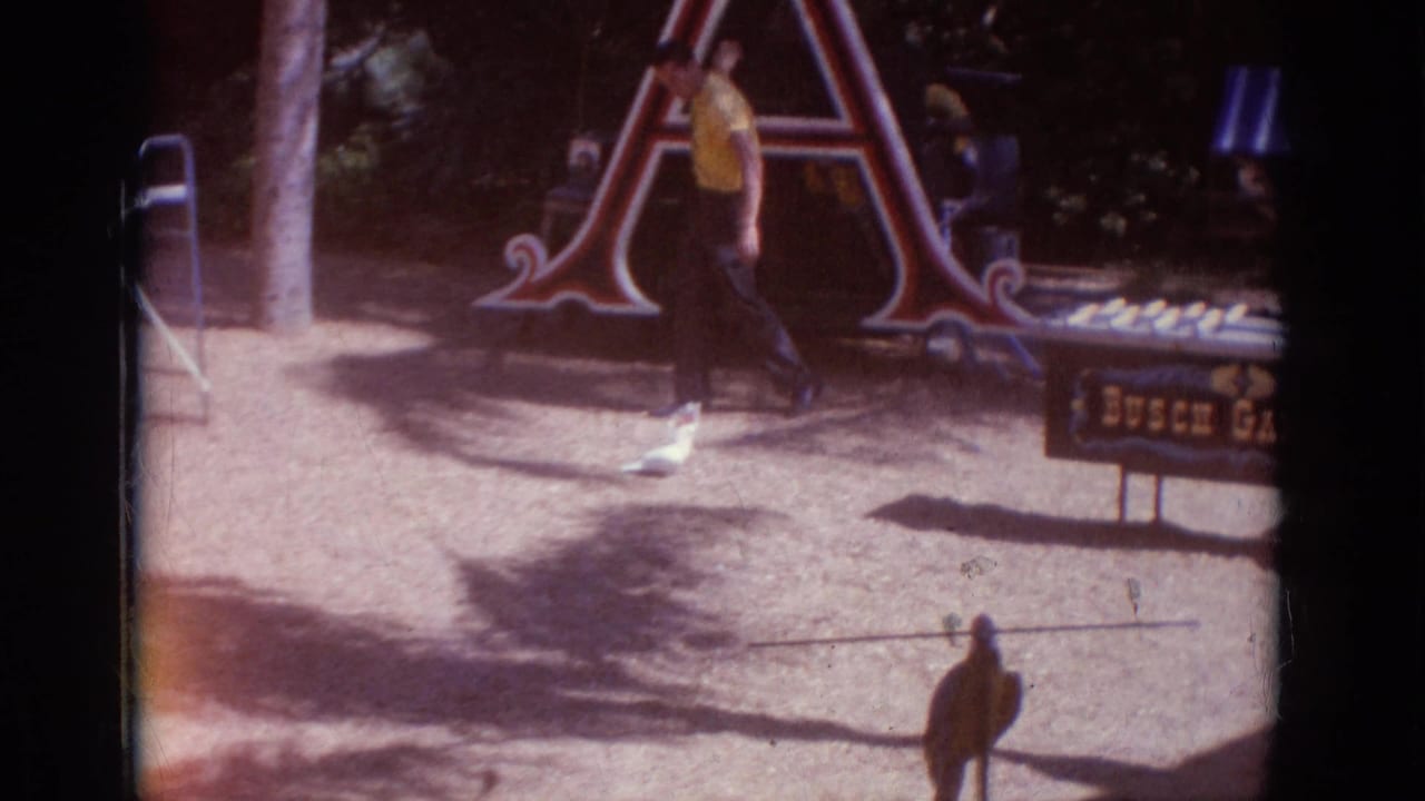 1966 8mm Busch Gardens scene with a man in a yellow shirt, a large decorative letter A, a sign, and a white cockatoo on the path.
