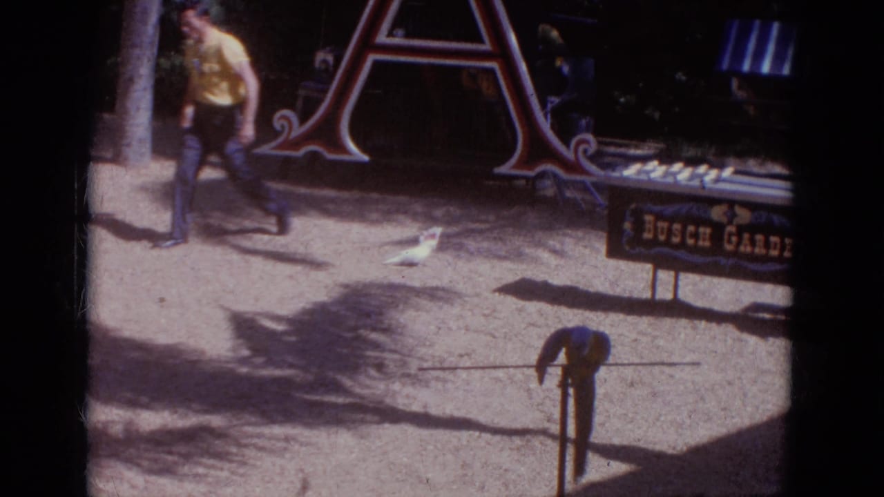 At Busch Gardens in 1966, a man crosses a sunlit gravel area beside a white cockatoo, ornamental lettering, and park signage.