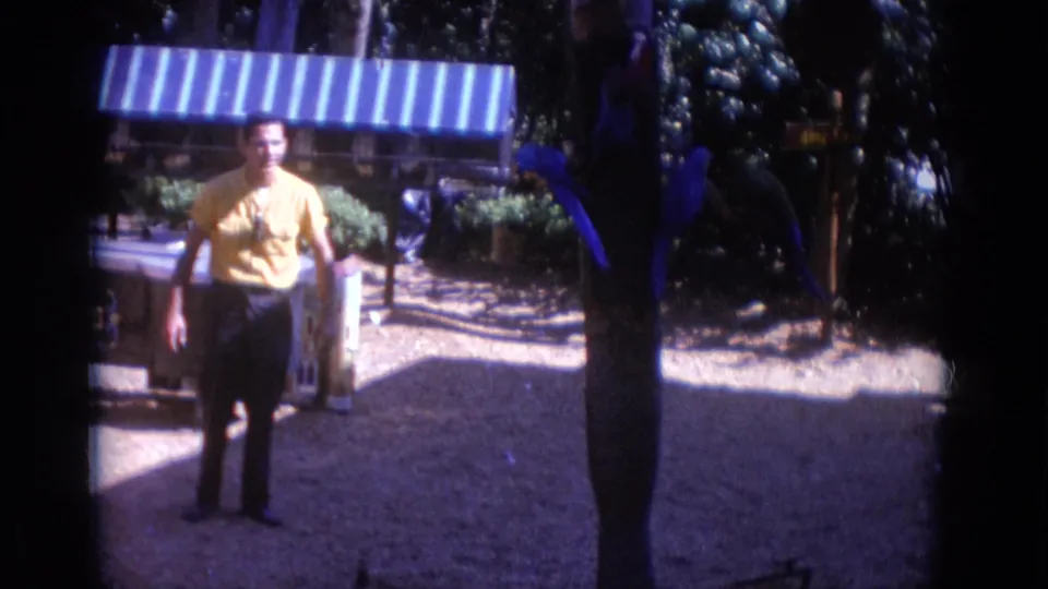 The 1966 home movie shows the visitor facing the camera near blue parrots, with a striped awning and garden foliage behind him.