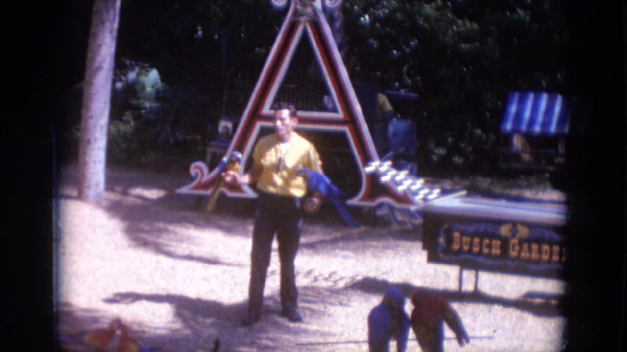1966 Busch Gardens Florida home-movie frame showing a park leader in a yellow shirt holding a blue macaw and smaller parrot.