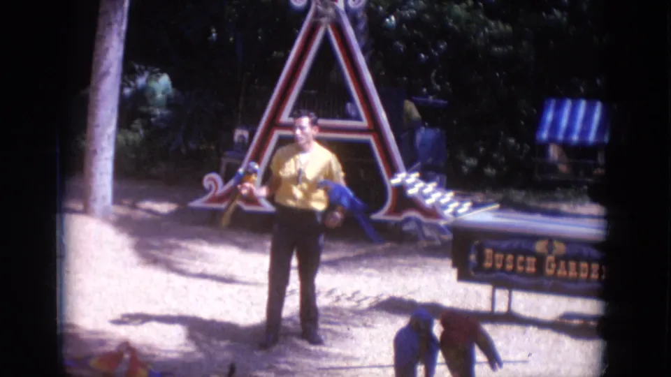 1966 Busch Gardens Florida home-movie frame showing a park leader in a yellow shirt holding a blue macaw and smaller parrot.