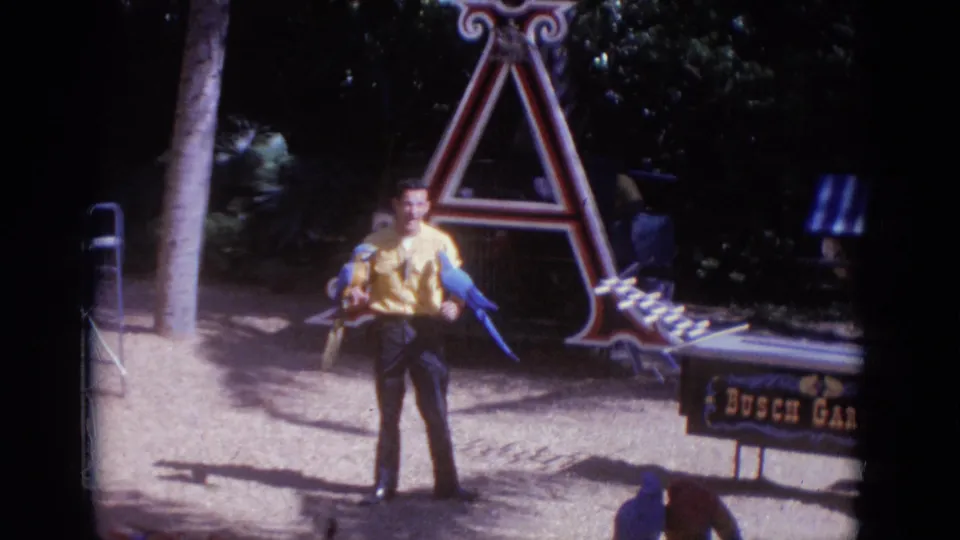 1966 Busch Gardens Florida home-movie frame showing a handler facing camera with parrots in a landscaped demonstration area.