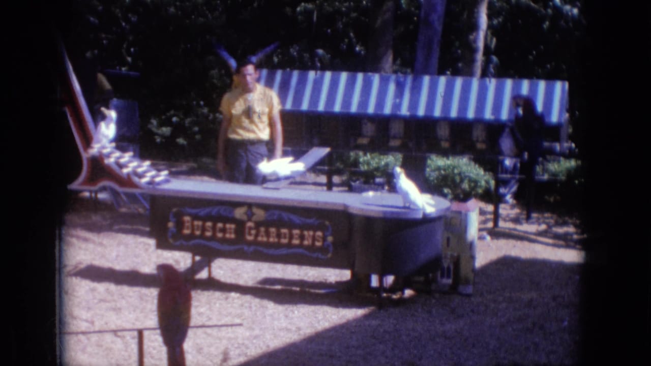 At Busch Gardens in 1966, the handler faces the audience area behind a curved table with white birds, a striped awning, and park benches behind him.