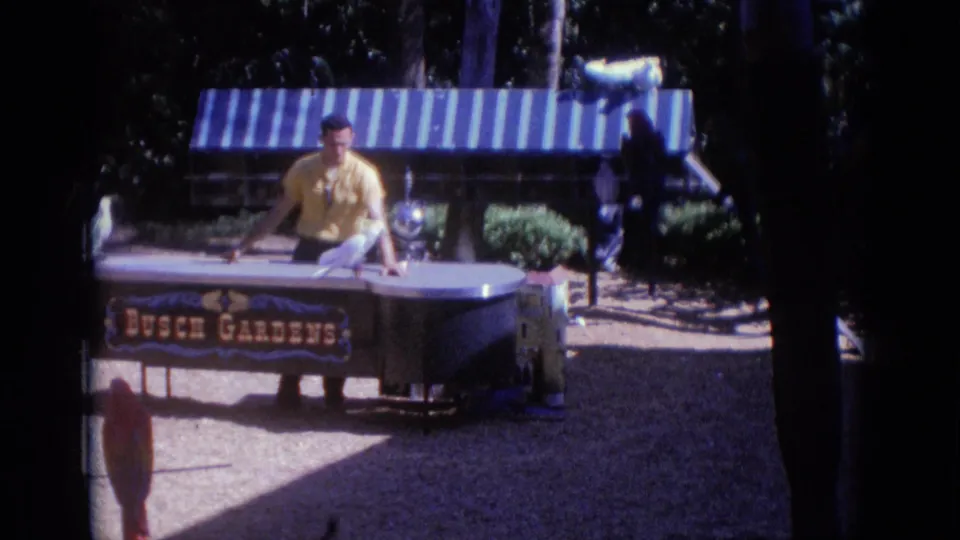 The 1966 8mm frame shows the male handler leaning over the Busch Gardens table as a white bird moves near the striped awning and benches.