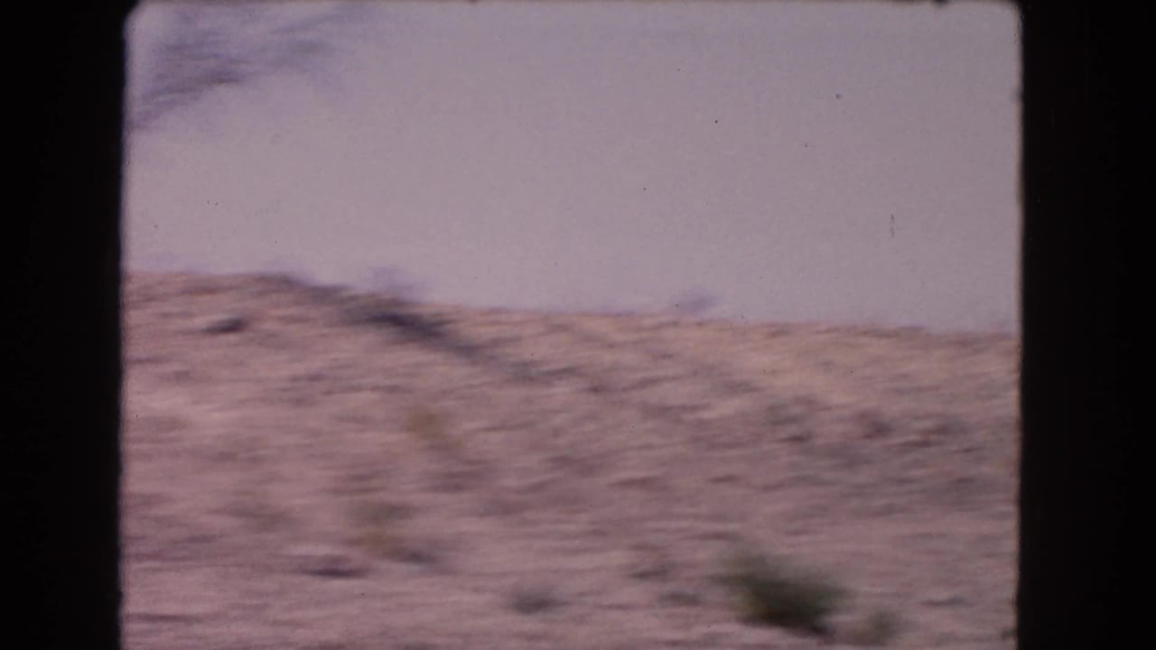 Soft blurred hillside under pale sky, filmed from a moving vehicle.
