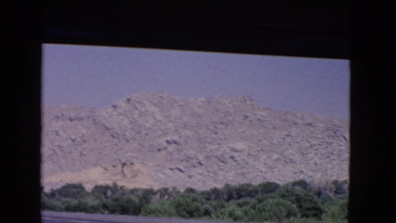 1966 California 8mm frame of a rugged mountain slope and green roadside trees, seen from inside a moving car.