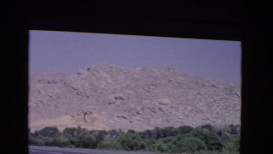 1966 California 8mm frame of a rugged mountain slope and green roadside trees, seen from inside a moving car.
