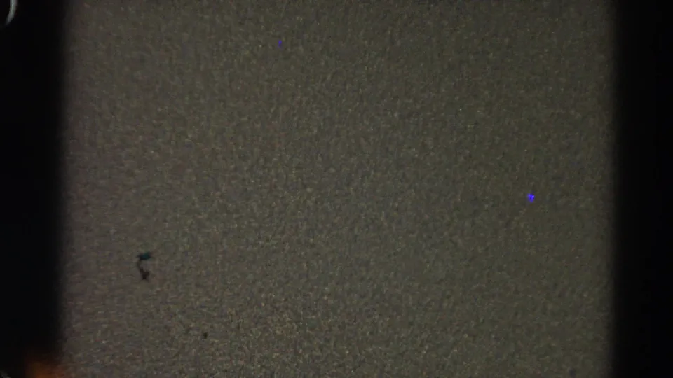 Dark opening 8mm frame from the 1966 Danville wedding clip, showing grain, edge shadows, and no clear people yet.