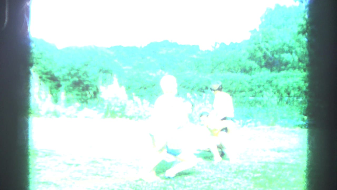 Overexposed frame of people playing on grass near a pond and trees.