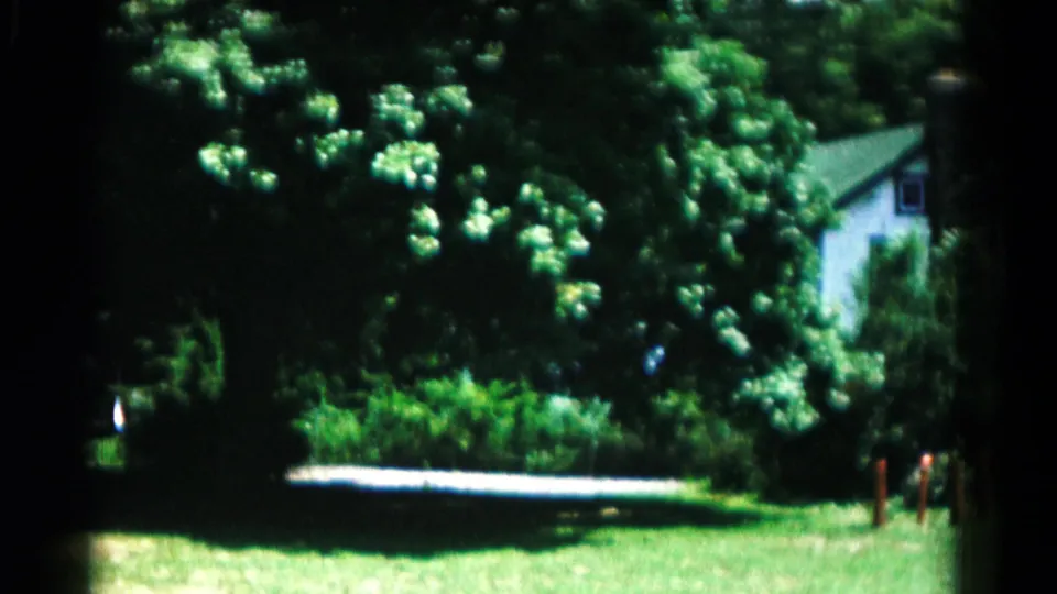Leafy 1966 Hagerstown home-movie view with dense trees, bright grass, a driveway edge, red posts, and part of a white house.