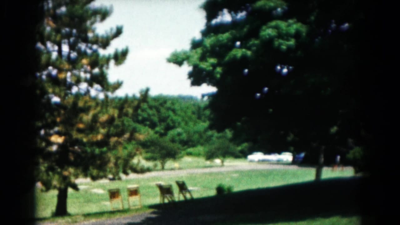 Pine trees, green lawn, roadside mailboxes, chairs, and a distant wooded background.