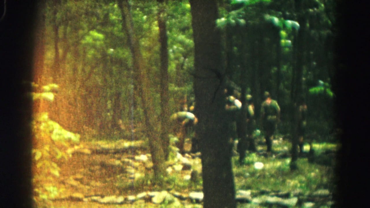 People gather among trees near a low stone wall in a sunlit forest.