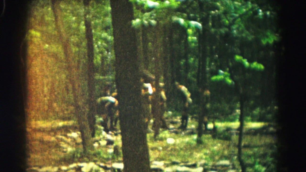 Several people stand and bend among trees in a wooded clearing.