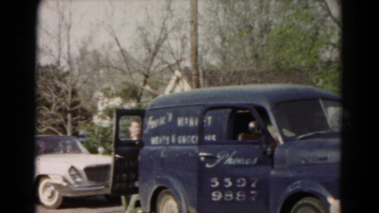 Woman near an open van door with a white car parked behind the blue delivery van.