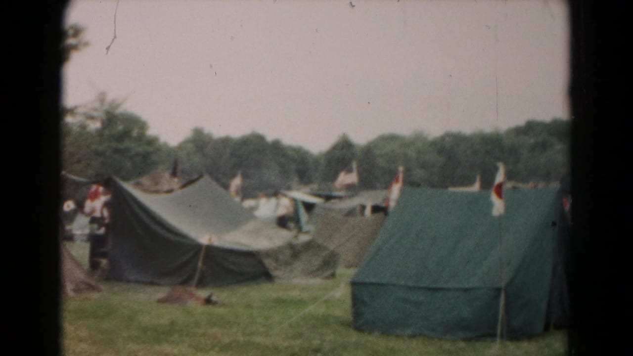 Green canvas tents pitched on a grassy field with small flags and trees behind them.