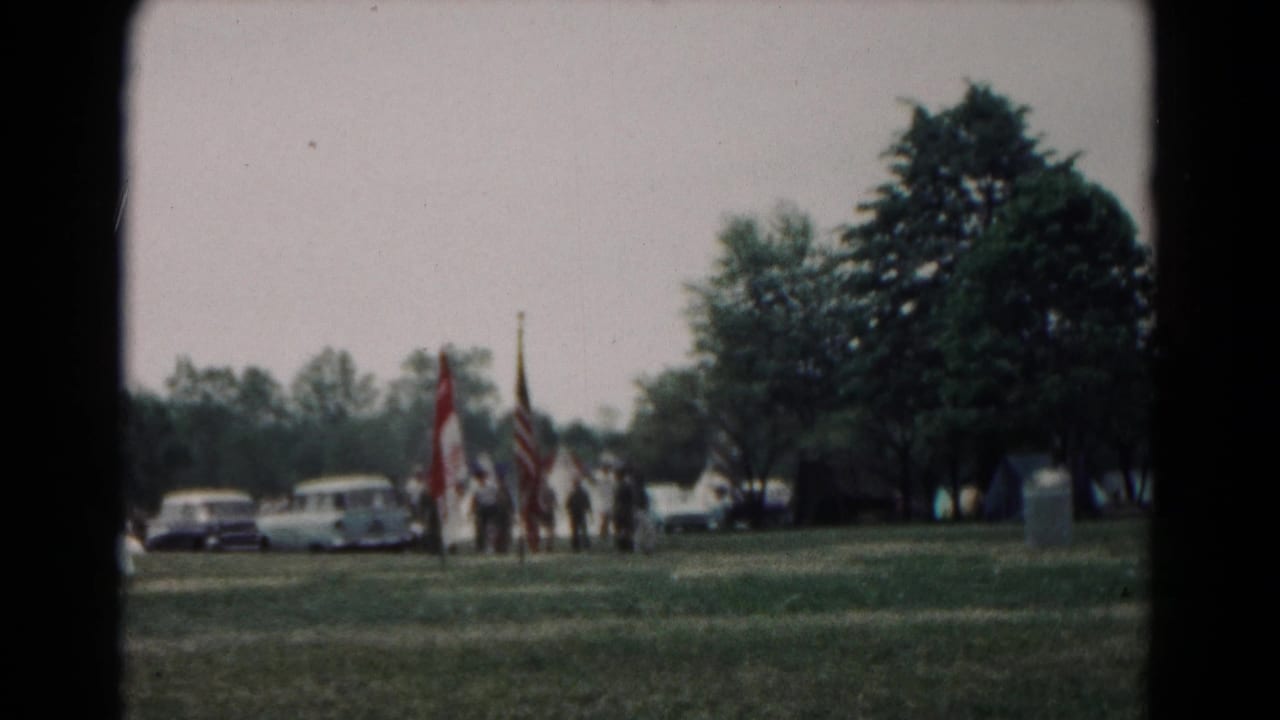People gather with flags in a grassy park near trees and parked cars.