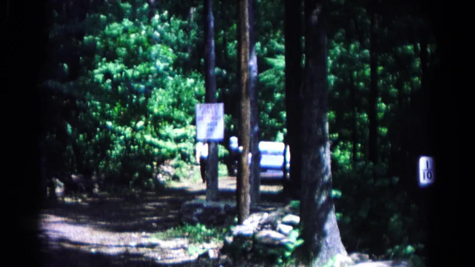 The car recedes along the Camp Ockanickon entrance road, partly framed by tall trunks, a sign board, and dense summer foliage.