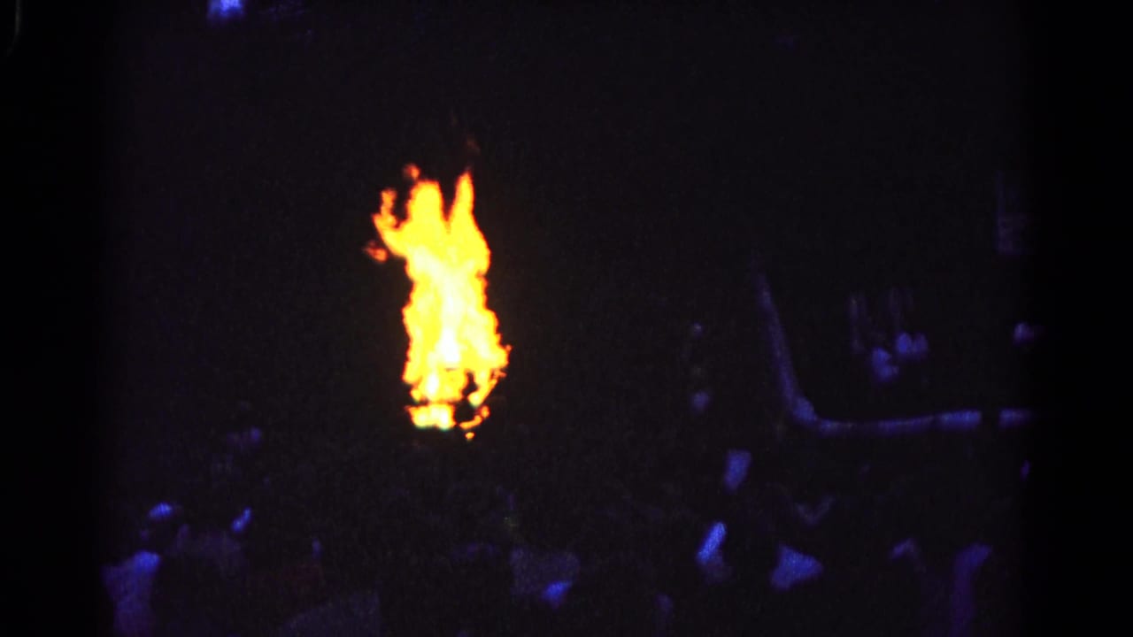 Bright outdoor flames at night with dark trees and silhouetted people nearby.