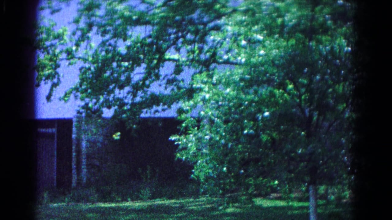 Blue-shifted 1966 Hagerstown frame of leafy trees, grass, and a shadowed building exterior in the background.