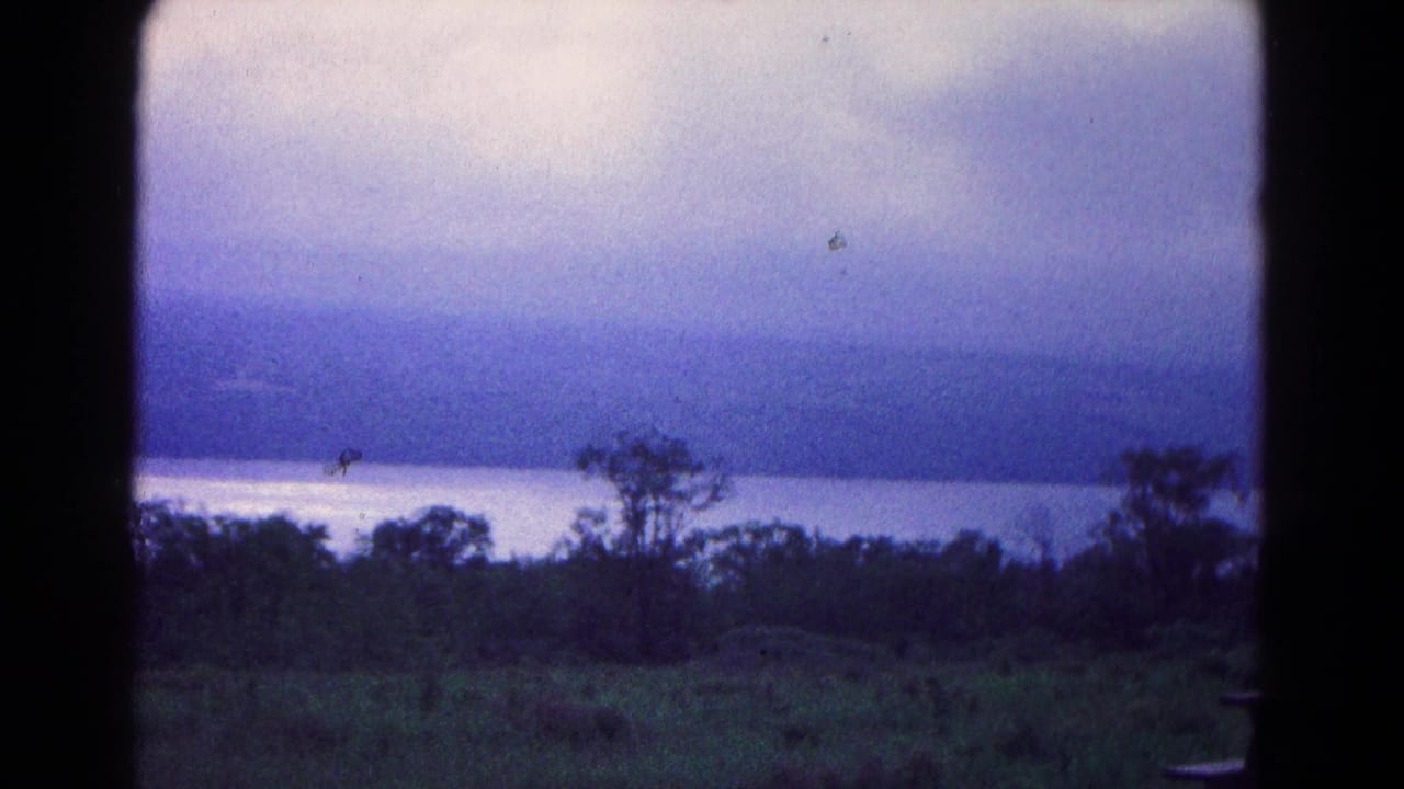 Blue-gray sky over water and distant hills with trees in the foreground.