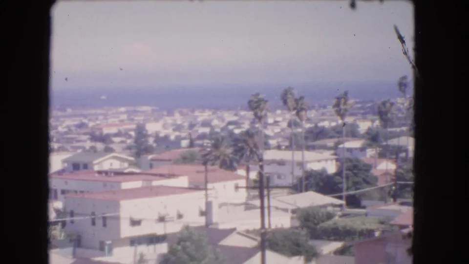 1966 Los Angeles view across low residential buildings, palms, utility lines, and soft coastal haze.