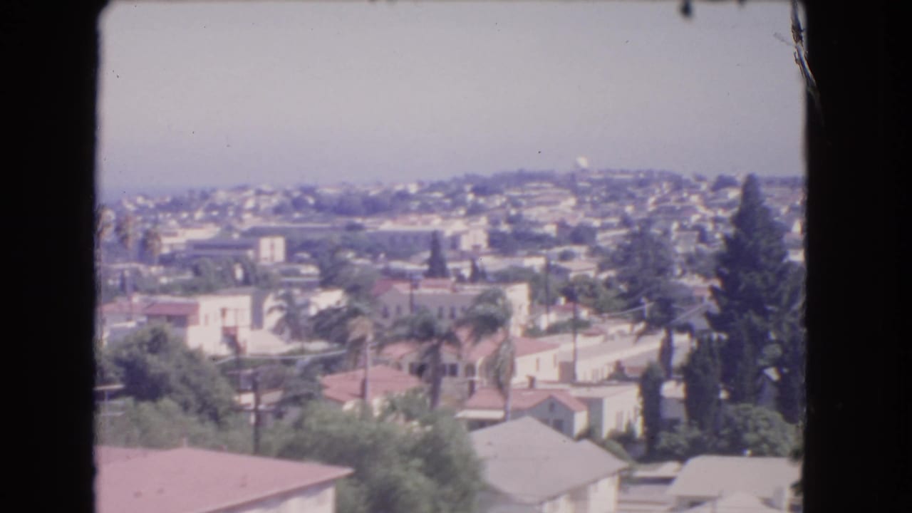 Suburban Los Angeles rooftops and palms seen from a hillside with ocean beyond.