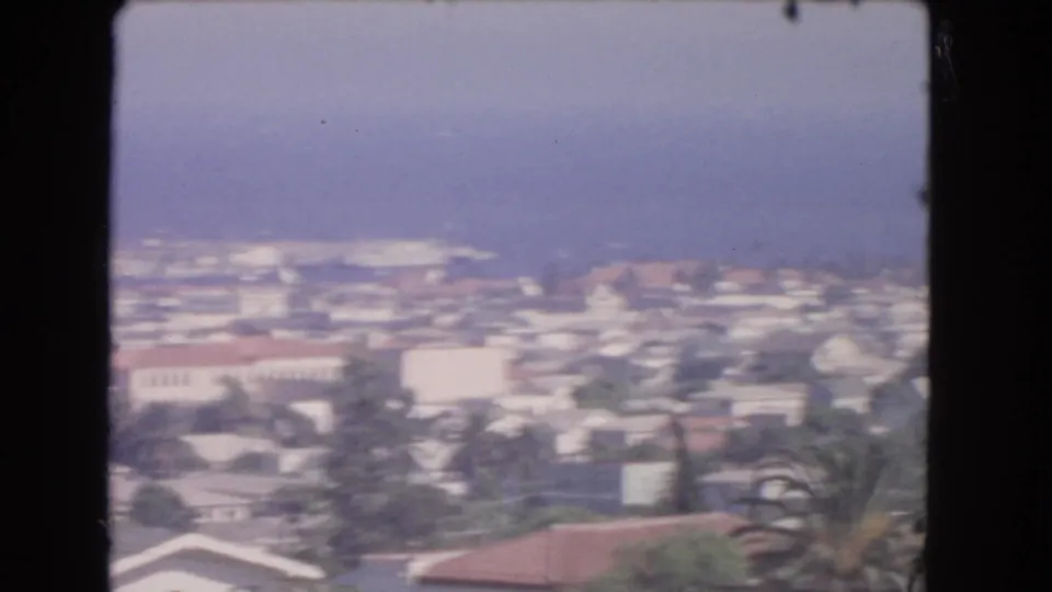 Elevated 1966 Los Angeles coastal view with foreground roofs, palms, harbor buildings, and the ocean beyond.