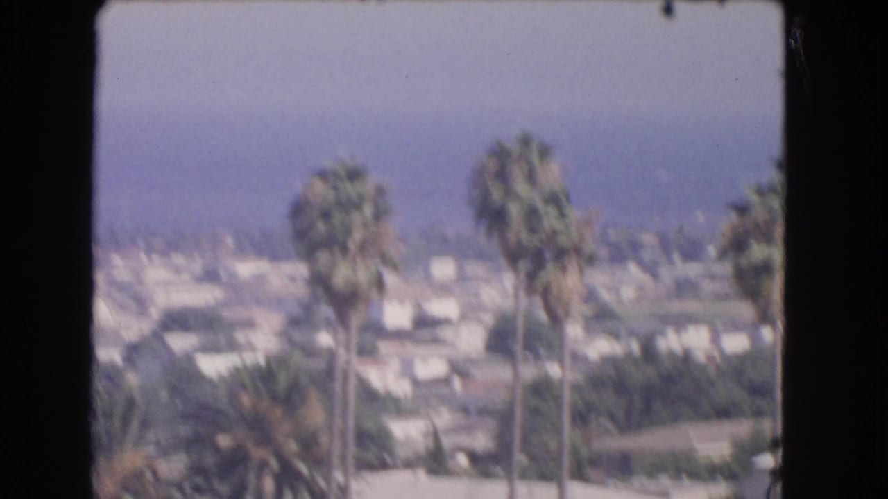 Distant neighborhood view with tall palms, rooftops, haze, and a dark vertical frame edge.