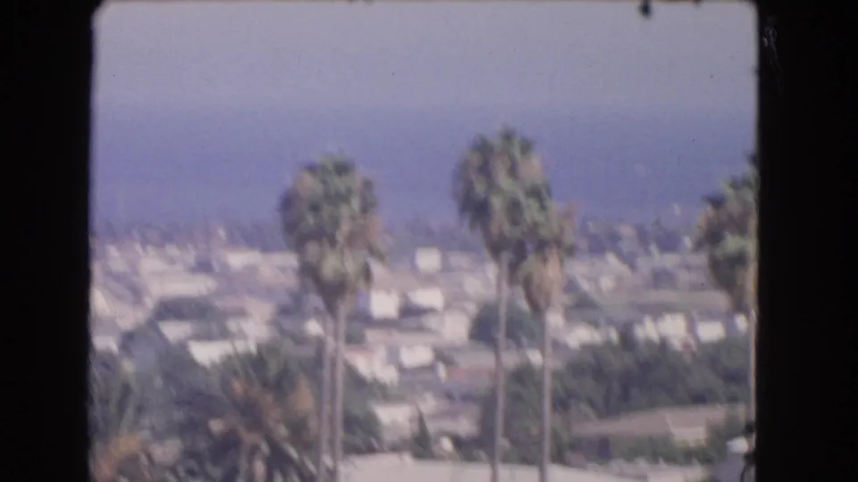 1966 Los Angeles frame with tall palm trees rising over a hazy residential area and distant blue horizon.