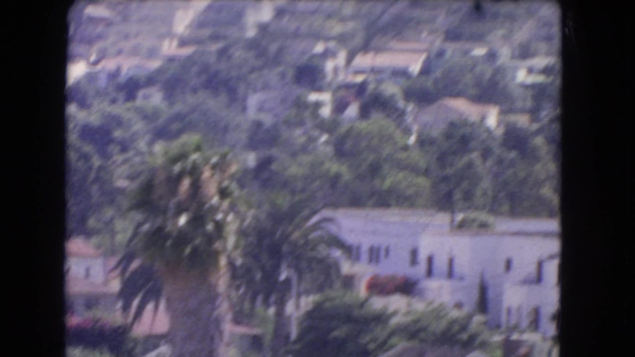 Soft elevated view of hillside houses, palms, trees, and pale residential buildings.