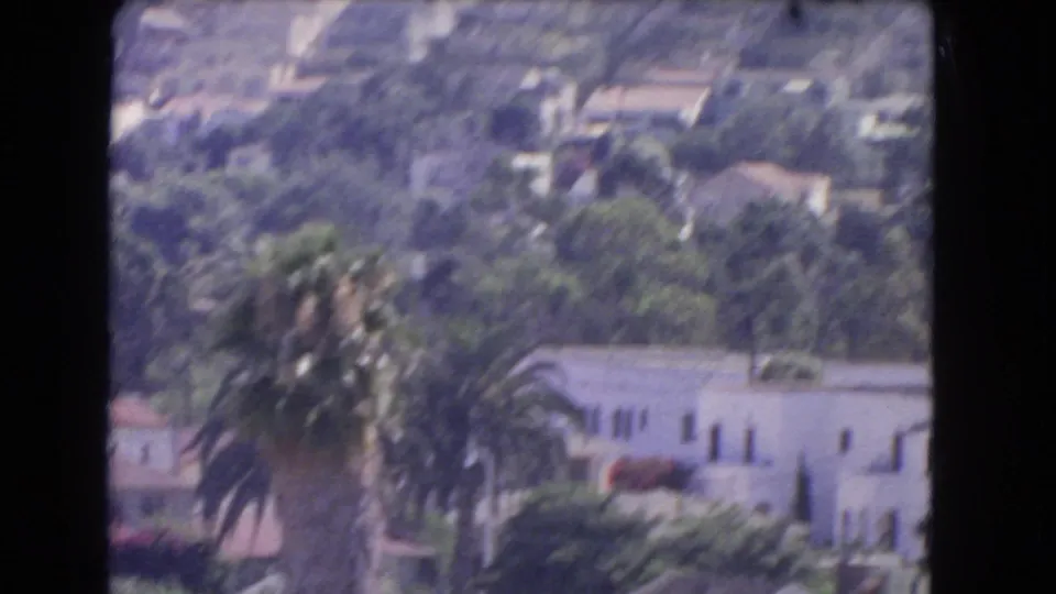 Soft 1966 Los Angeles home-movie view from above, showing hillside greenery, palms, and light-colored residential buildings.