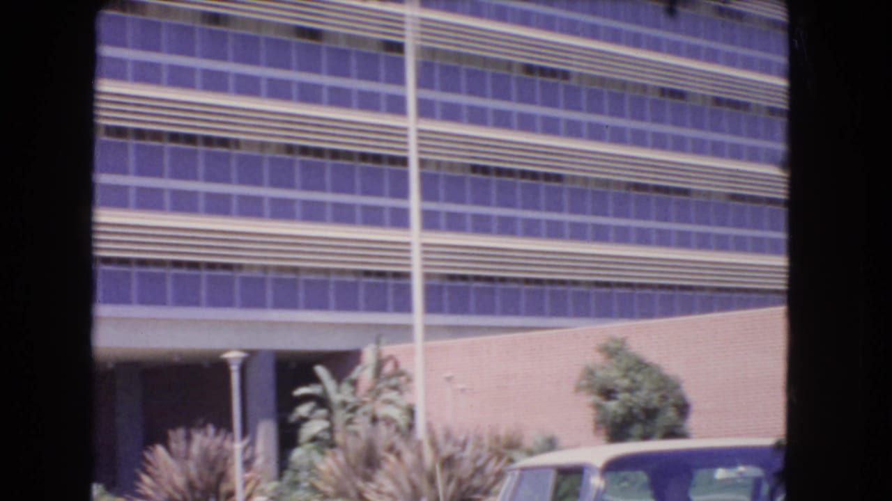 Modern building with purple windows seen from a moving roadside viewpoint.