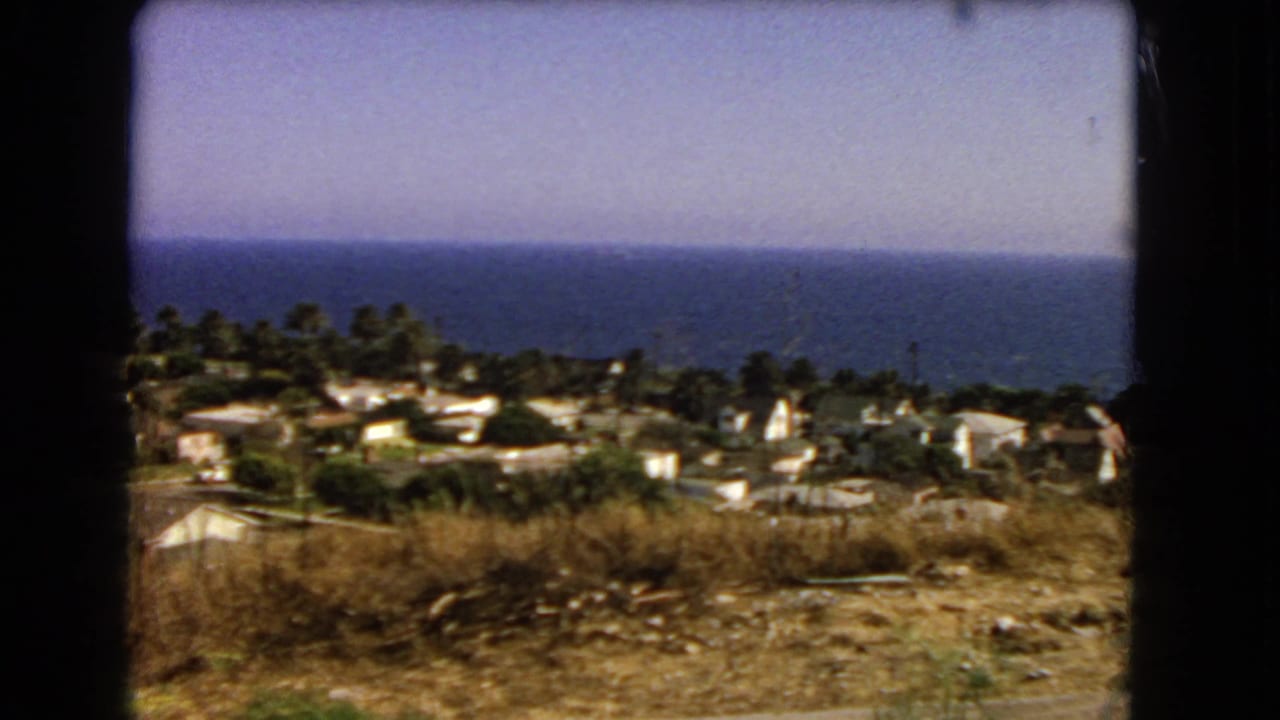 Houses and palms on a dry coastal slope with ocean in the background.